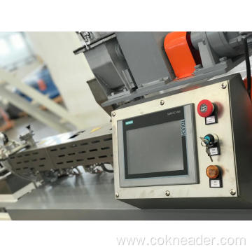 Rewriting the title of Lab Twin Screw Extruder in English.